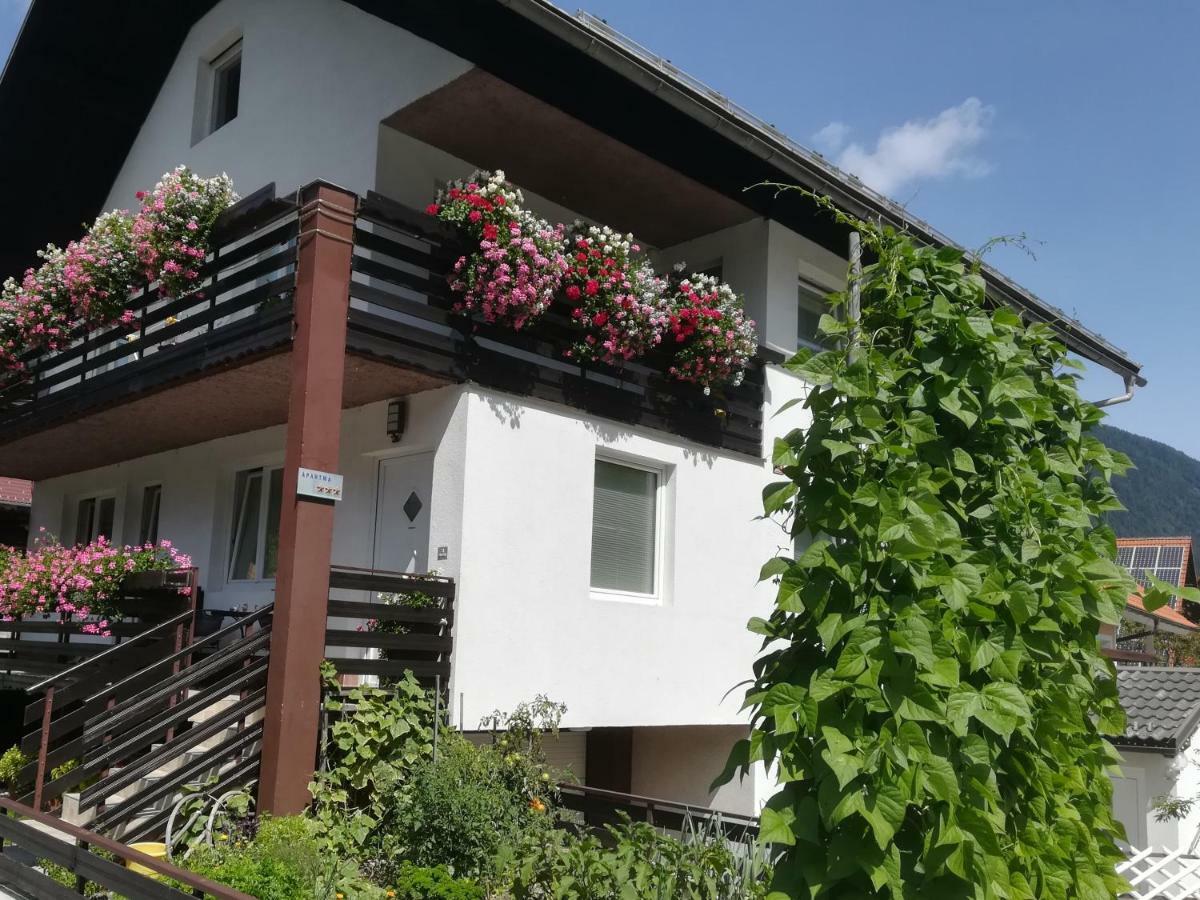 Apartmaji Gros 克拉尼斯卡戈拉 外观 照片