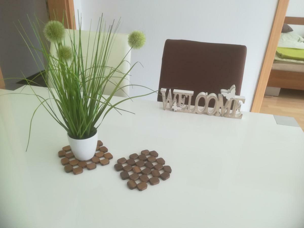 Apartmaji Gros 克拉尼斯卡戈拉 外观 照片